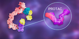 PROTAC — Future of Drug Molecules from Modular Construction