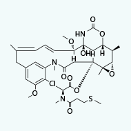 S-methyl DM1 structure