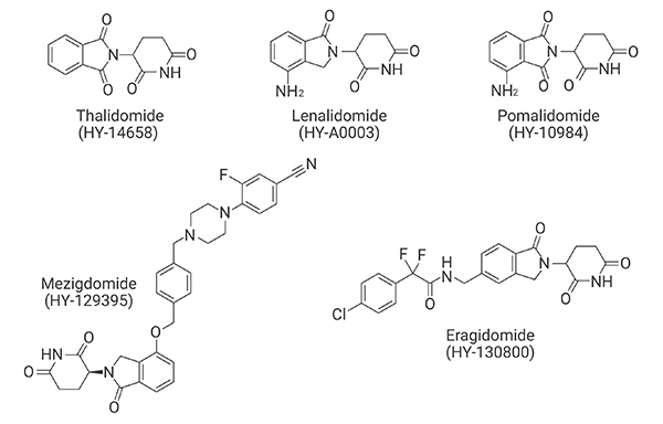 Figure 6. Type and Structures of selected molecular glue 
