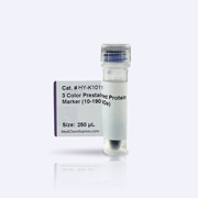 3-Color Prestained Protein Marker (10-190 kDa)