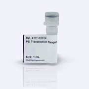 PEI Transfection Reagent