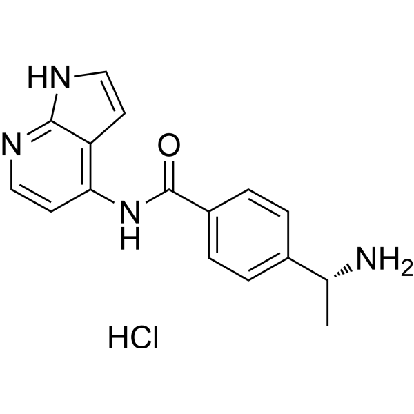 Y-33075 hydrochloride Chemical Structure