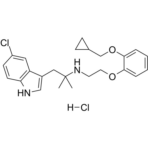 RS 17053 hydrochloride Chemical Structure