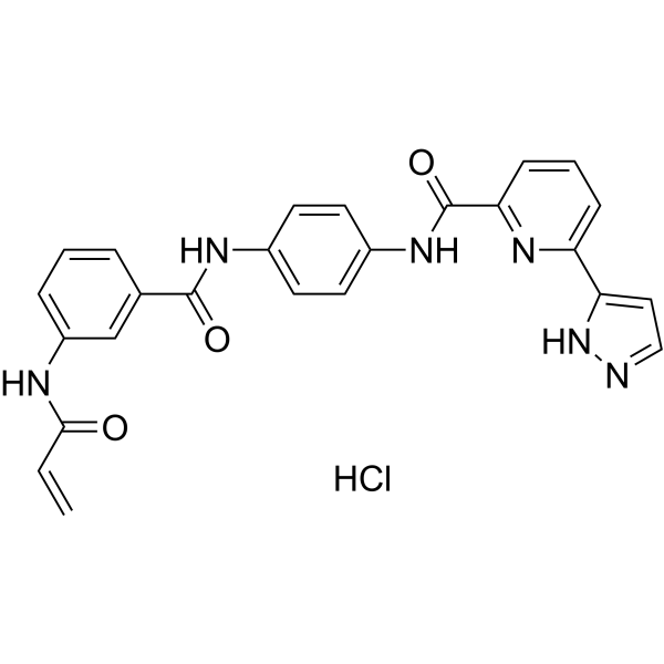 JH-X-119-01 hydrochloride Chemical Structure