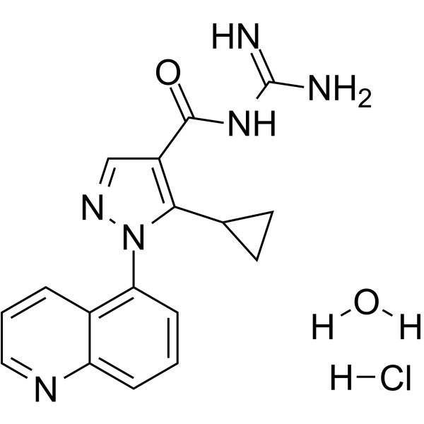 Zoniporide hydrochloride hydrate Chemical Structure