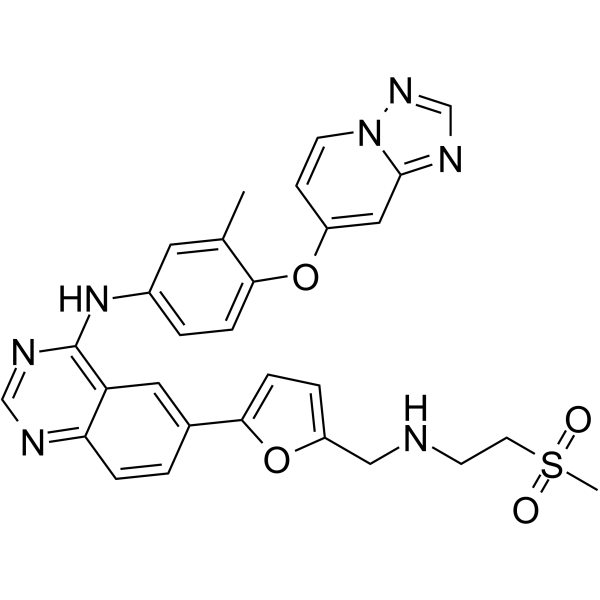 ARRY-380 analog Chemical Structure