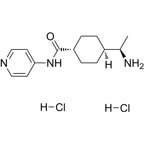 Y-27632 dihydrochloride