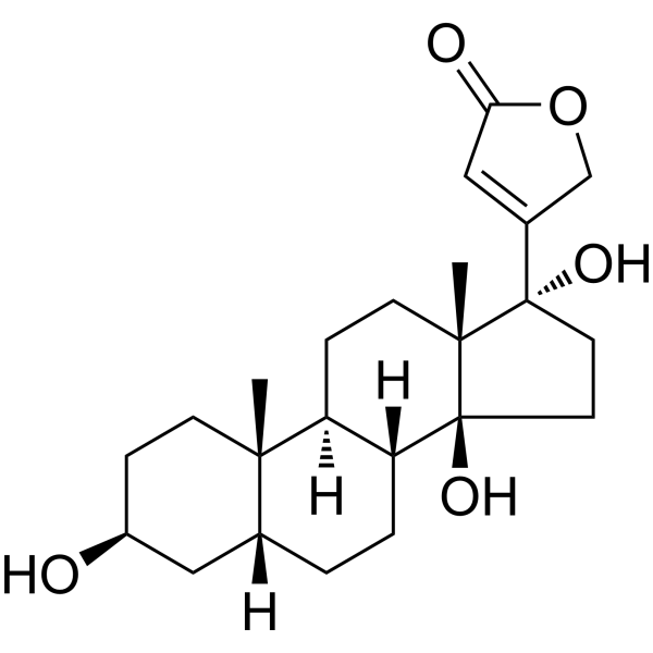 17α-Hydroxydigitoxigenin Chemical Structure