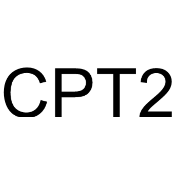 CPT2
