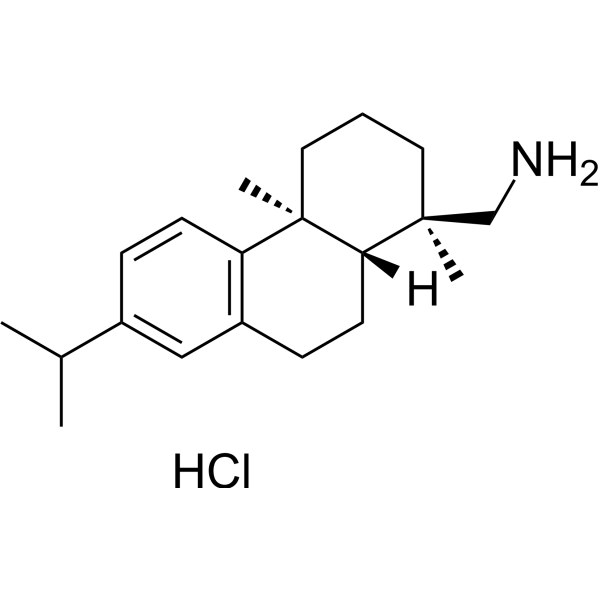 Leelamine hydrochloride Chemical Structure