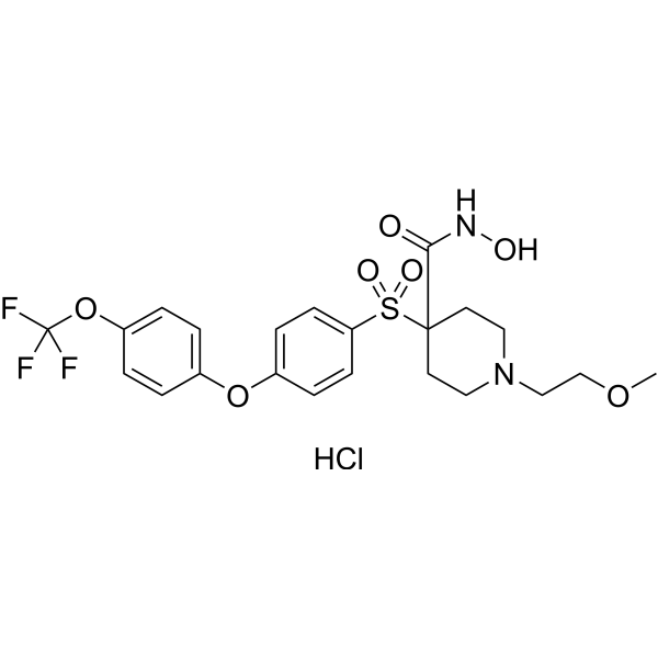 SD-2590 hydrochloride Chemical Structure