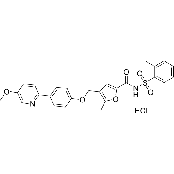 BGC-20-1531 hydrochloride Chemical Structure