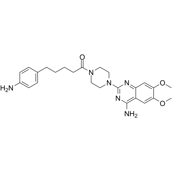 A55453 Chemical Structure
