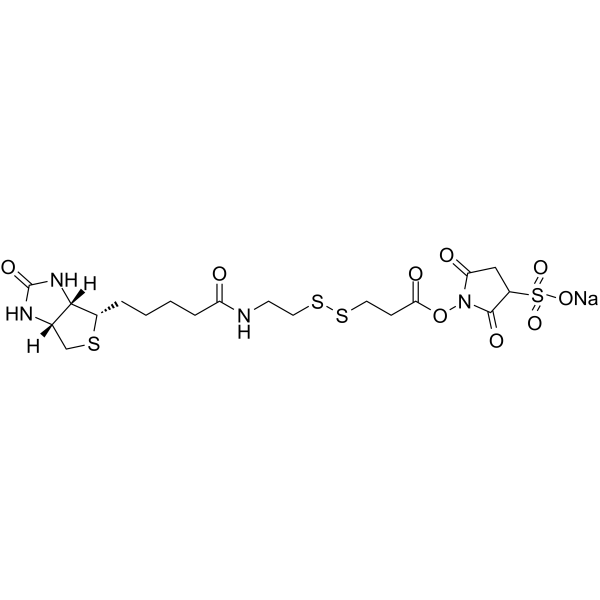Sulfo-NHS-SS-Biotin sodium