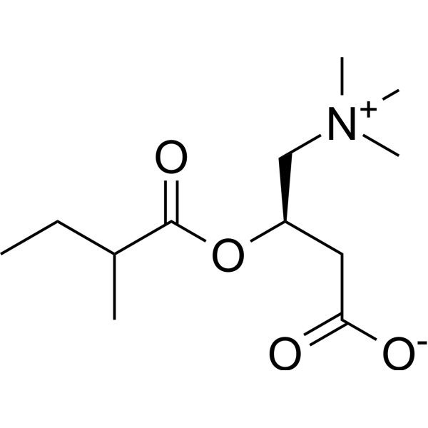 2-Methylbutyrylcarnitine Chemical Structure