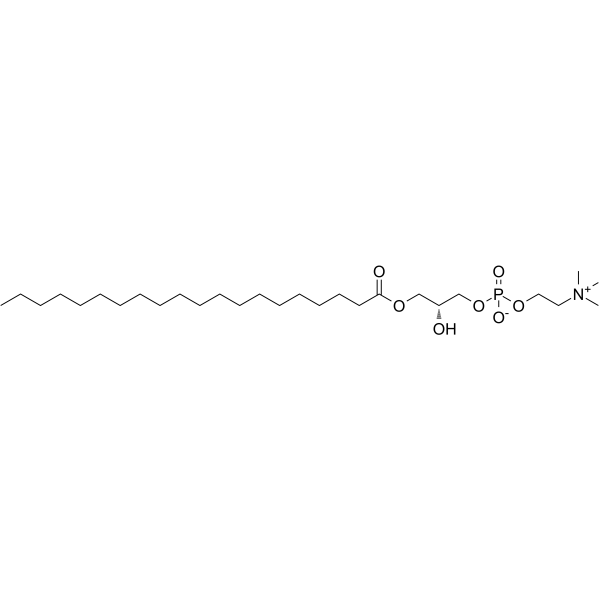 <em>1</em>-Arachidoyl-sn-glycero-3-phosphocholine