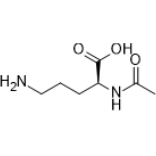 <em>N-Acetylornithine</em>