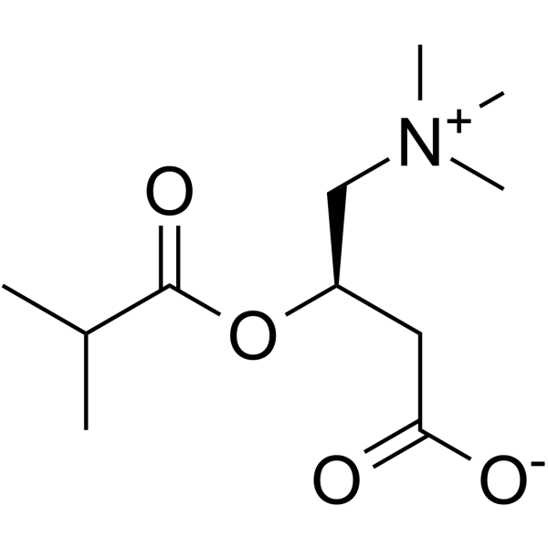 Isobutyryl-L-<em>carnitine</em>