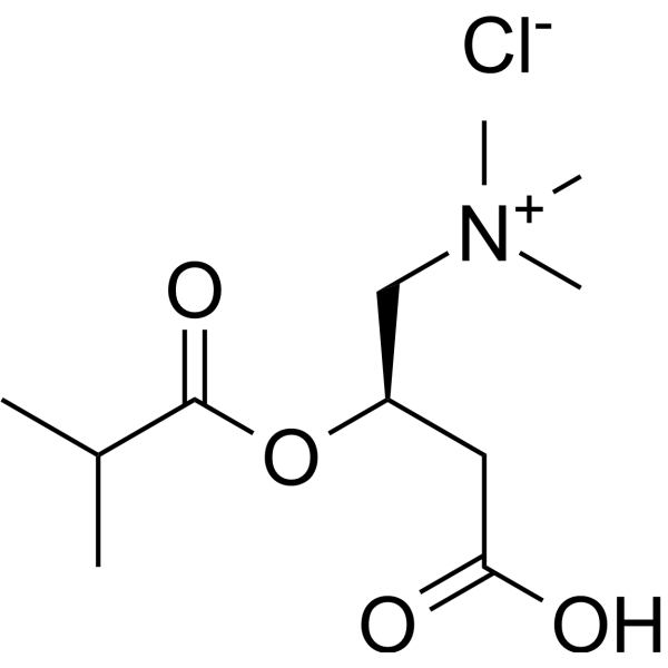Isobutyryl-L-<em>carnitine</em> chloride
