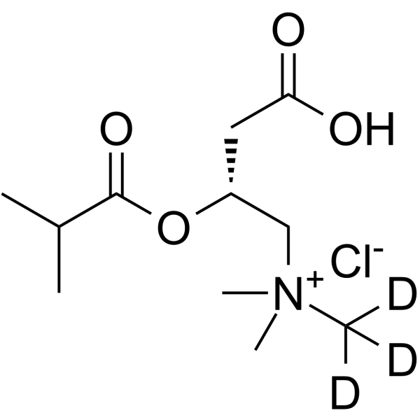 Isobutyryl-L-carnitine-d<sub>3</sub> chloride Chemical Structure