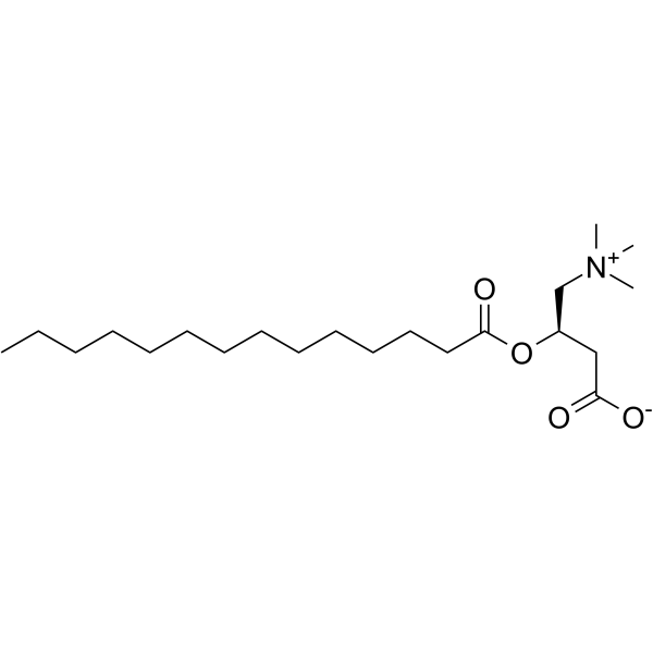 <em>Tetradecanoylcarnitine</em>