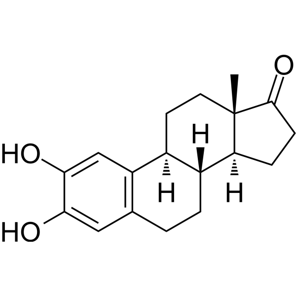 2-Hydroxyestrone Chemical Structure