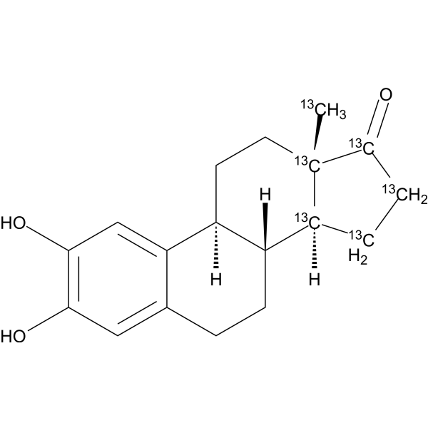 <em>2</em>-Hydroxyestrone-13C6