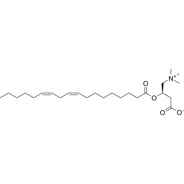 Linoleyl carnitine Chemical Structure