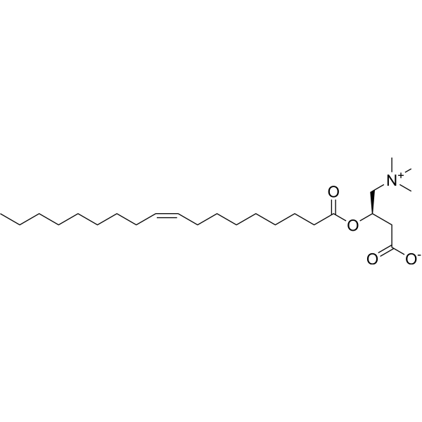 Oleoylcarnitine (Standard)