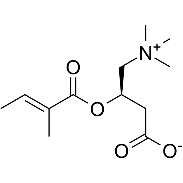 Tiglyl carnitine Chemical Structure