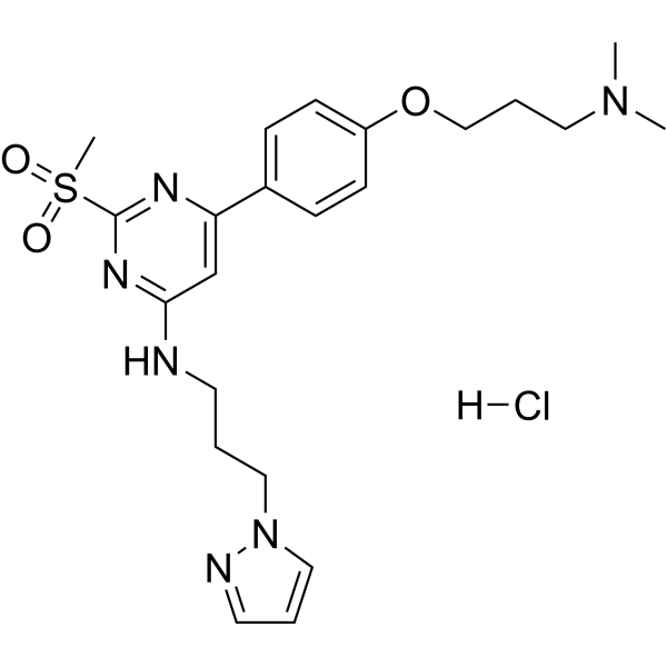 TP-238 hydrochloride