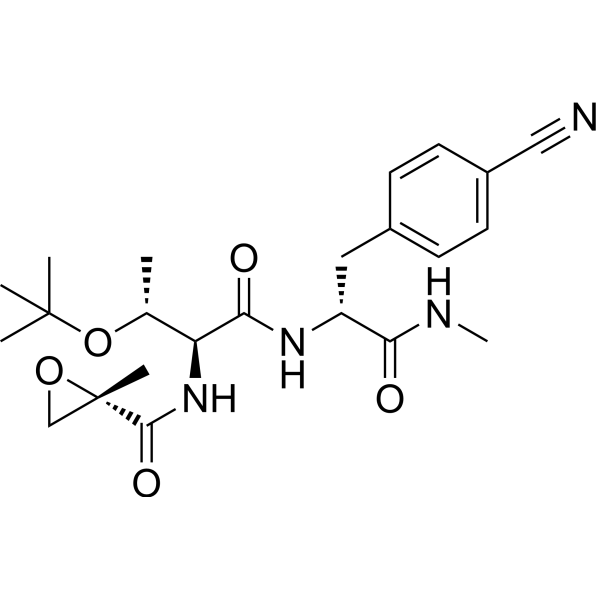 BTK-IN-5 Chemical Structure