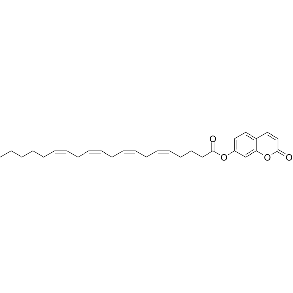 7-Hydroxycoumarinyl arachidonate Chemical Structure