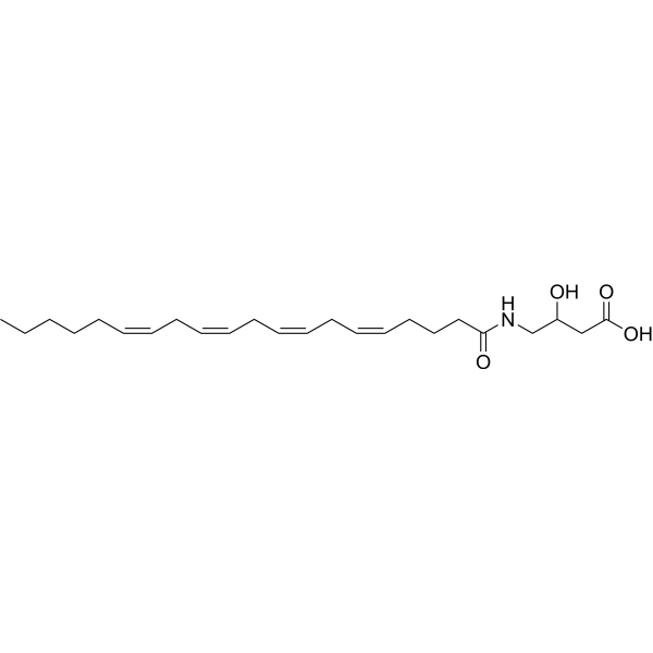 N-Arachidonoyl-3-hydroxy-γ-aminobutyric acid Chemical Structure