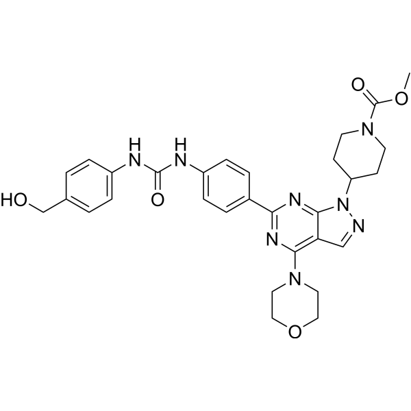 mTOR inhibitor WYE-28