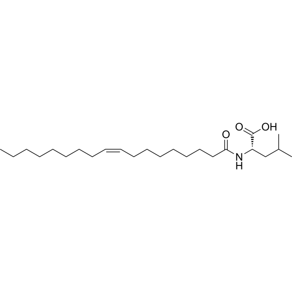 N-Oleoyl leucine Chemical Structure