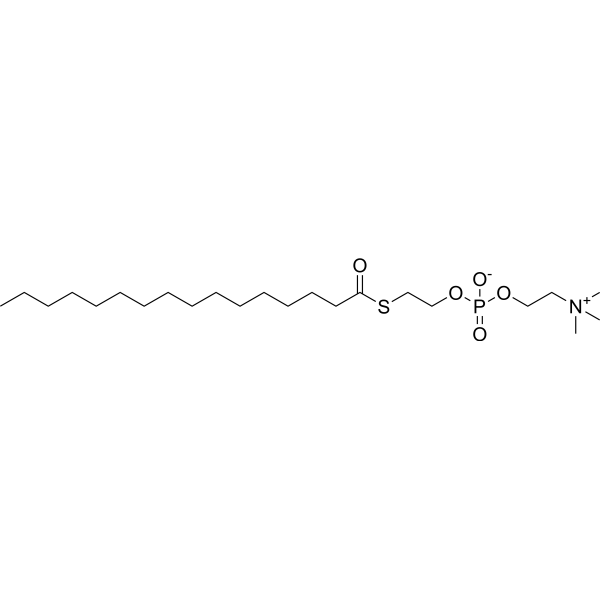 2-Hexadecanoylthio-1-ethylphosphorylcholine Chemical Structure