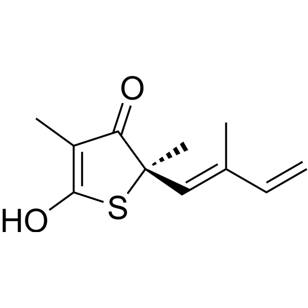 Thiolactomycin Chemical Structure