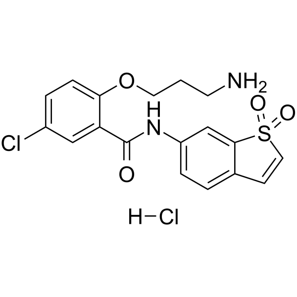HJC0416 hydrochloride
