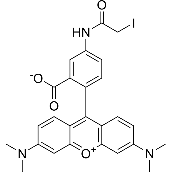 <em>Tetramethylrhodamine</em>-5-iodoacetamide