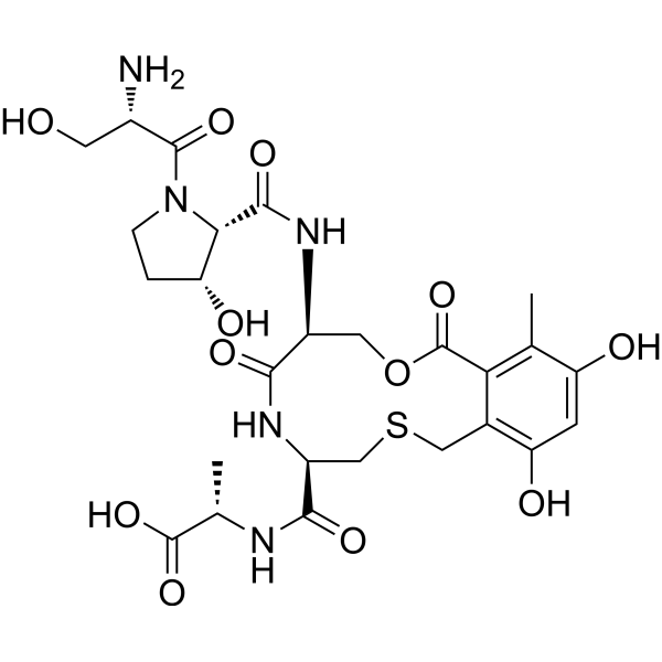 Cyclothialidine Chemical Structure