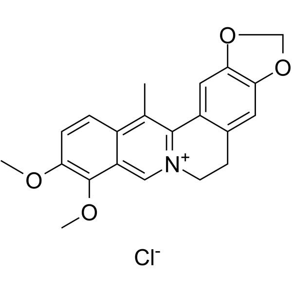13-Methylberberine chloride