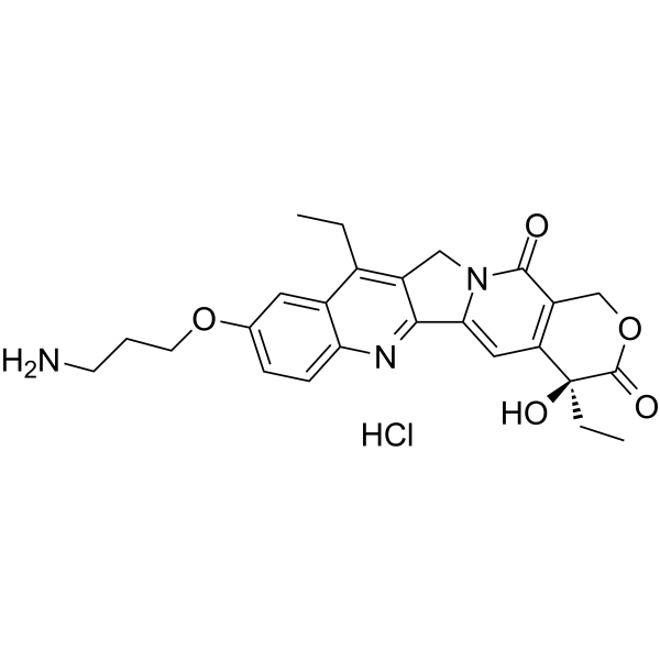 T-2513 hydrochloride Chemical Structure