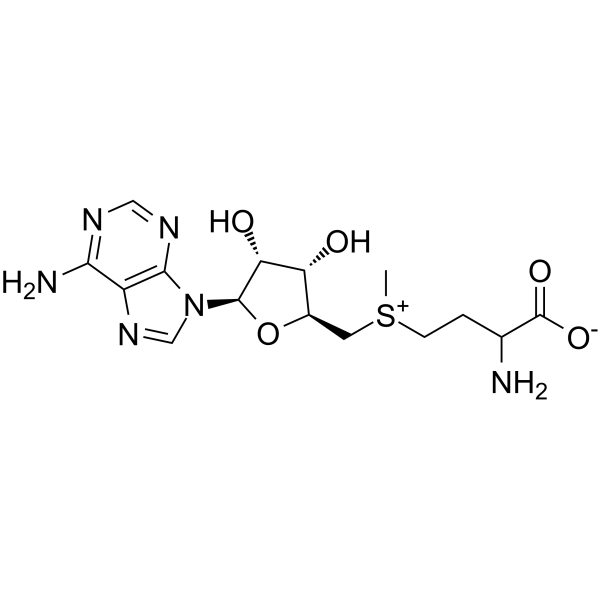 S-Adenosyl-DL-methionine Chemical Structure