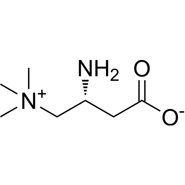 (R)-Aminocarnitine Chemical Structure