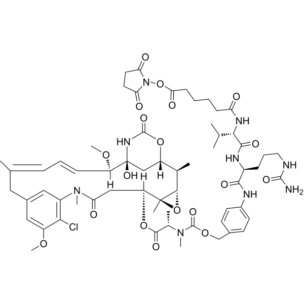 SC-VC-PAB-DM1 Chemical Structure