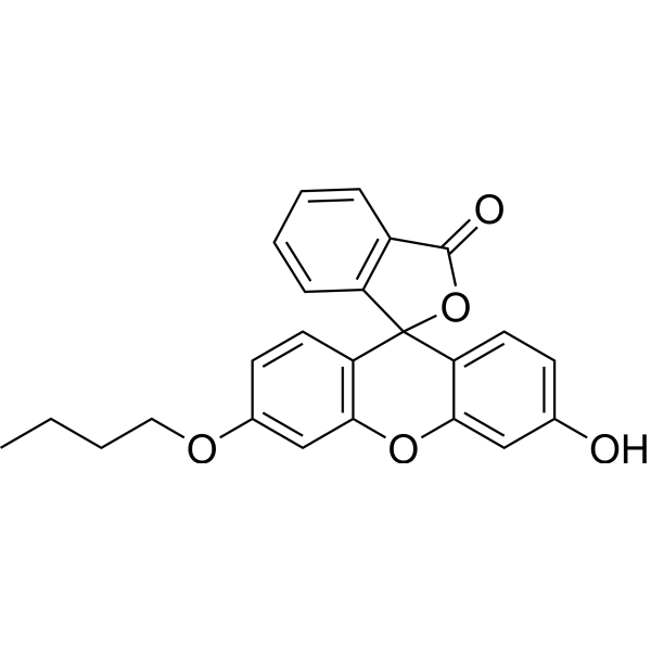 N-Butylfluorescein Chemical Structure