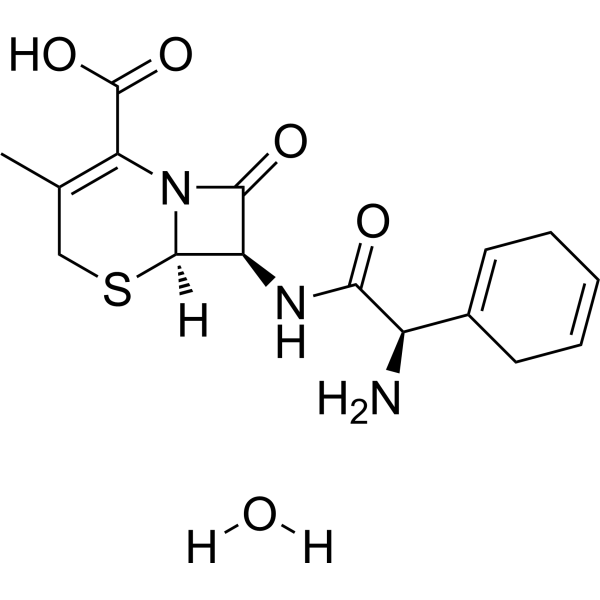 Cephradine monohydrate Chemical Structure
