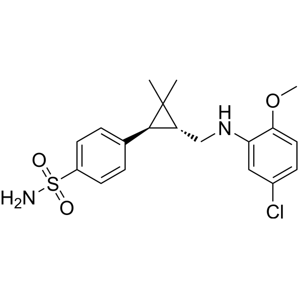 BNC375 Chemical Structure