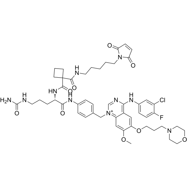 MC-Sq-Cit-PAB-Gefitinib